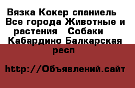 Вязка Кокер спаниель - Все города Животные и растения » Собаки   . Кабардино-Балкарская респ.
